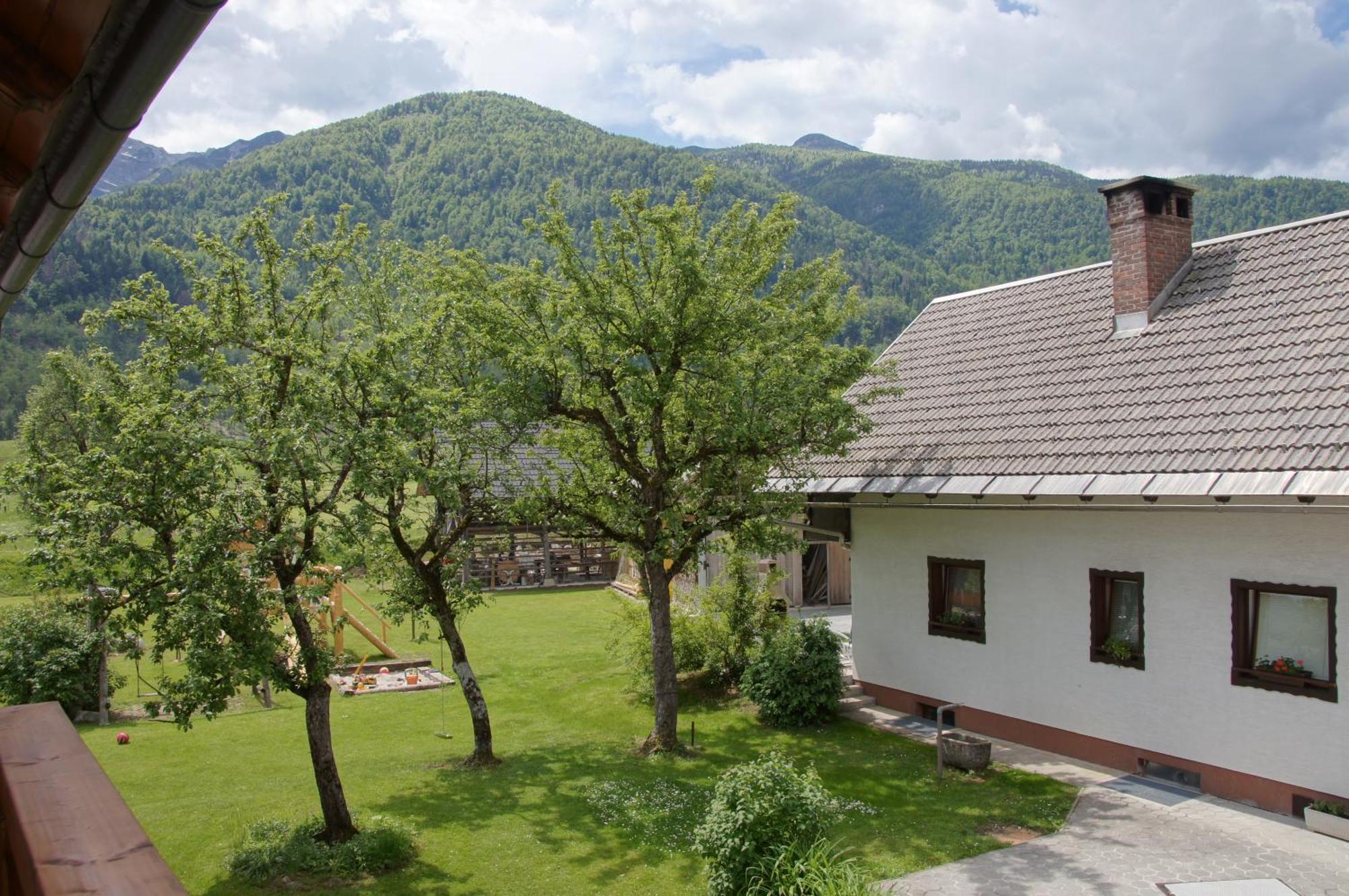 Apartments Markez Bohinj Værelse billede