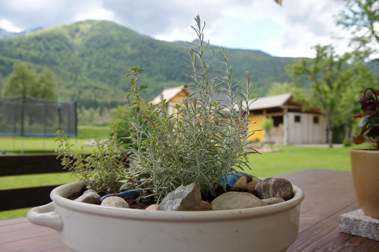 Apartments Markez Bohinj Eksteriør billede